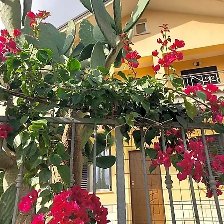 Bed & Breakfast La Rinella 3*